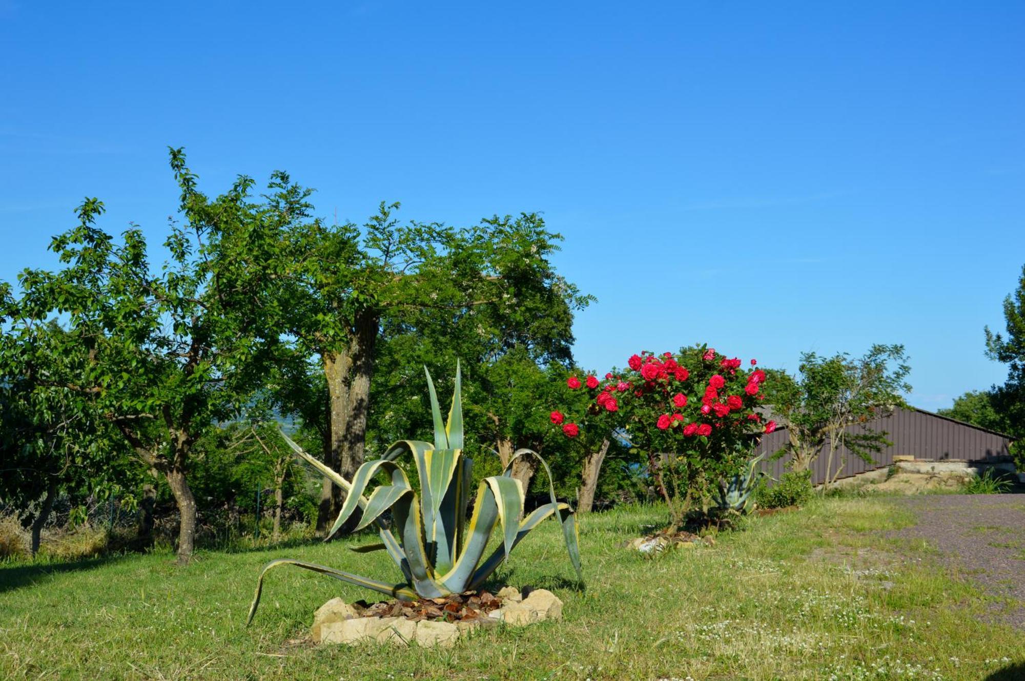 Agriturismo "La Fraschetta" Bolsena Exterior foto