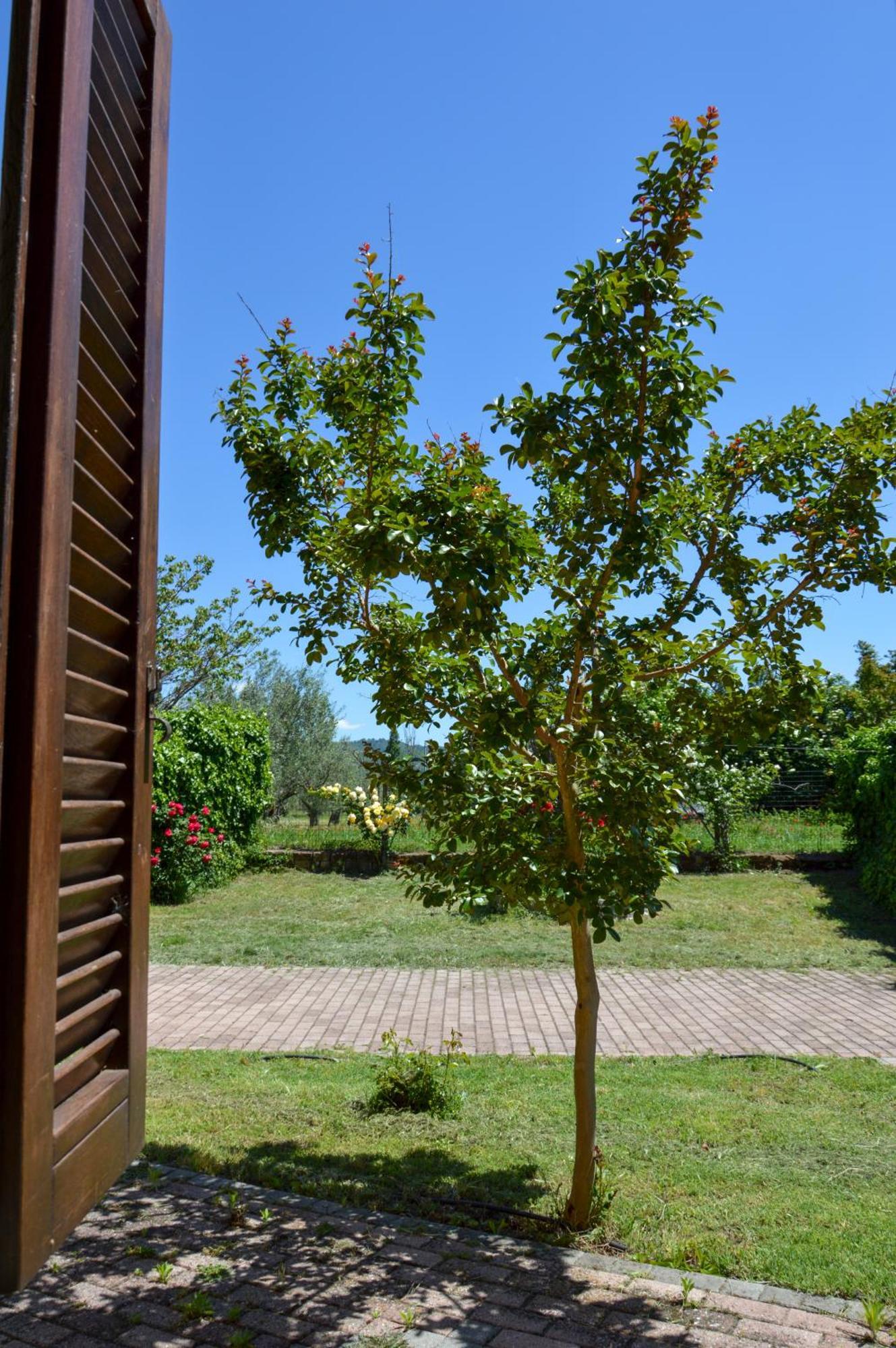 Agriturismo "La Fraschetta" Bolsena Exterior foto