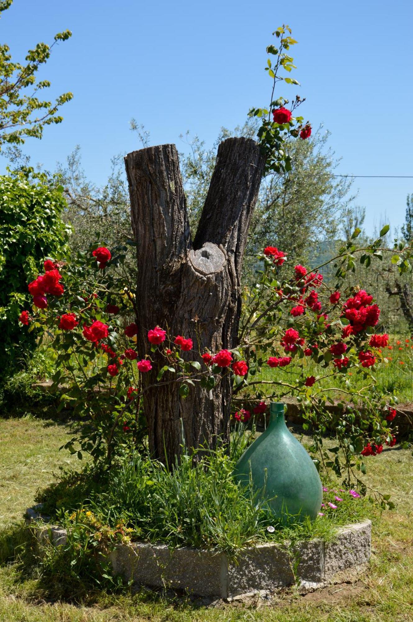 Agriturismo "La Fraschetta" Bolsena Exterior foto