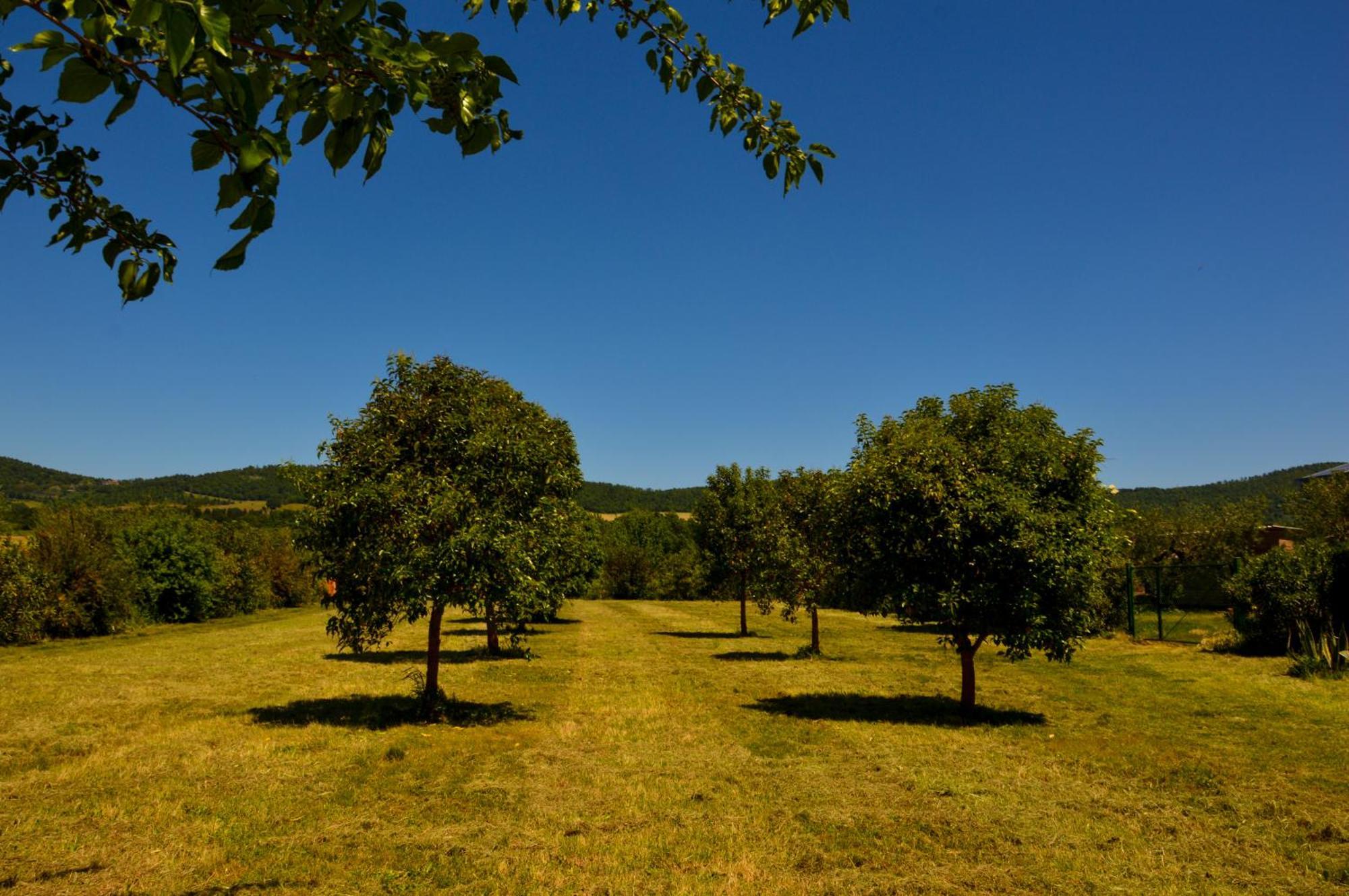Agriturismo "La Fraschetta" Bolsena Exterior foto